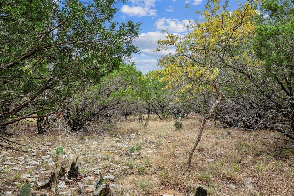 Lot 52 Carnoustie Drive, Graford, Texas image 5