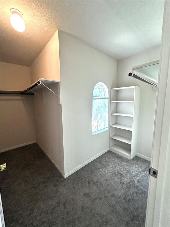 3202 Barkers Crossing Avenue, Houston, Texas image 13