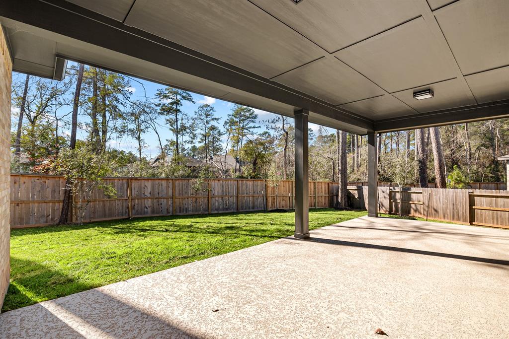 231 Sunrise Canvas Drive, Willis, Texas image 10