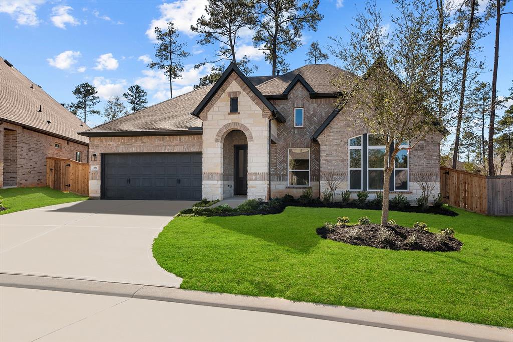 231 Sunrise Canvas Drive, Willis, Texas image 3