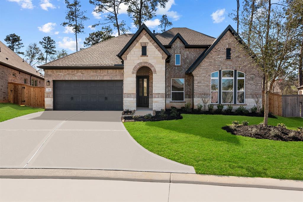 231 Sunrise Canvas Drive, Willis, Texas image 1