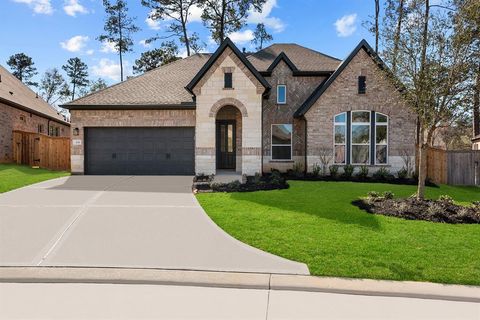 231 Sunrise Canvas Drive Willis TX 77318