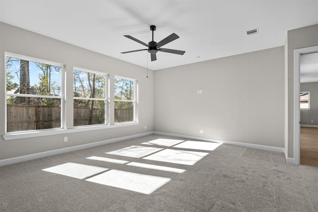 231 Sunrise Canvas Drive, Willis, Texas image 38
