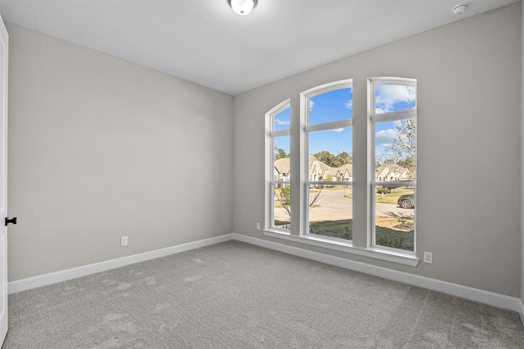 231 Sunrise Canvas Drive, Willis, Texas image 19