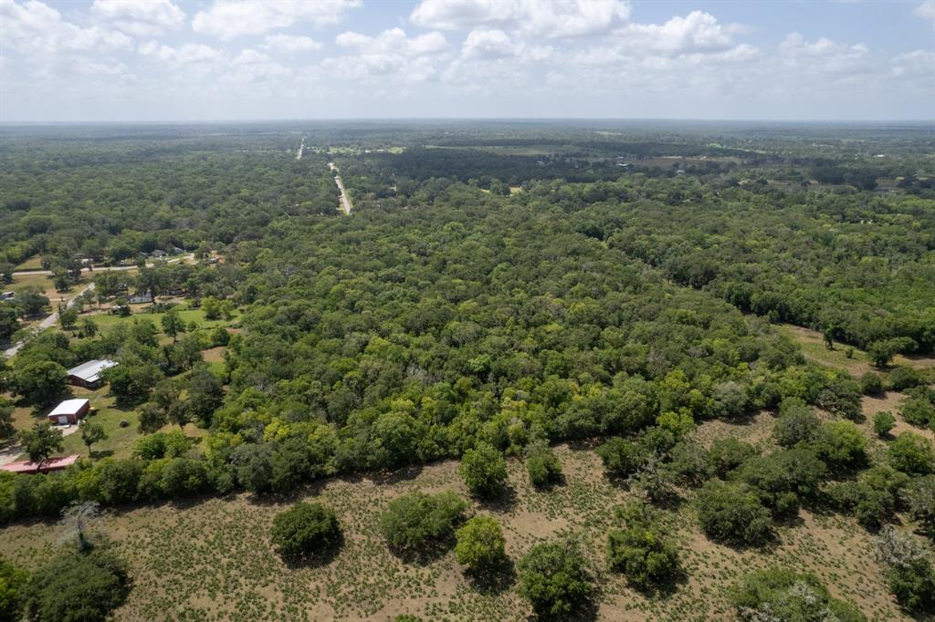17480 County Road 945, Brazoria, Texas image 8