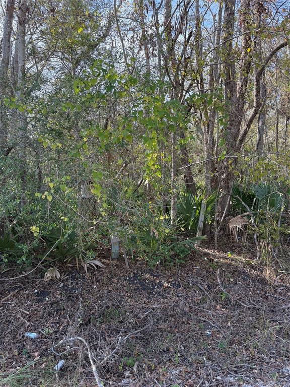 17480 County Road 945, Brazoria, Texas image 4