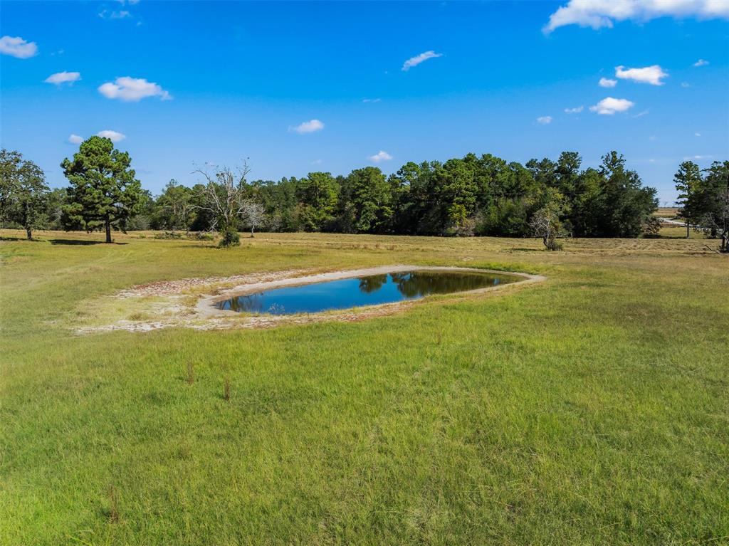 7781 County Road 227, Bedias, Texas image 44