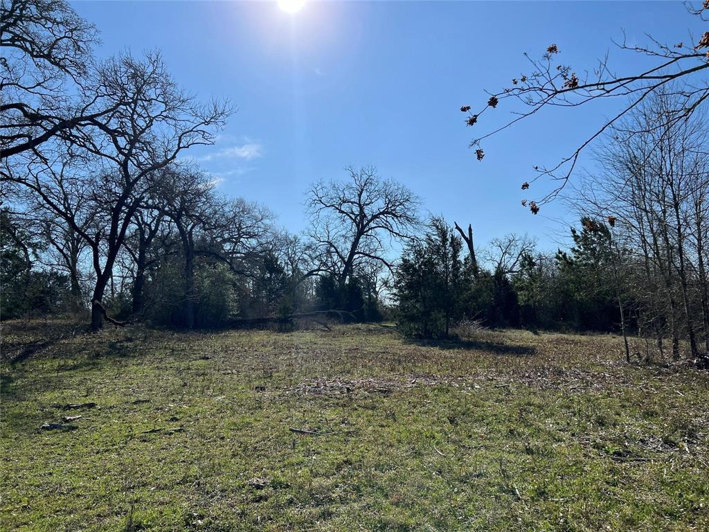 19285 Moriarty Road, Richards, Texas image 8