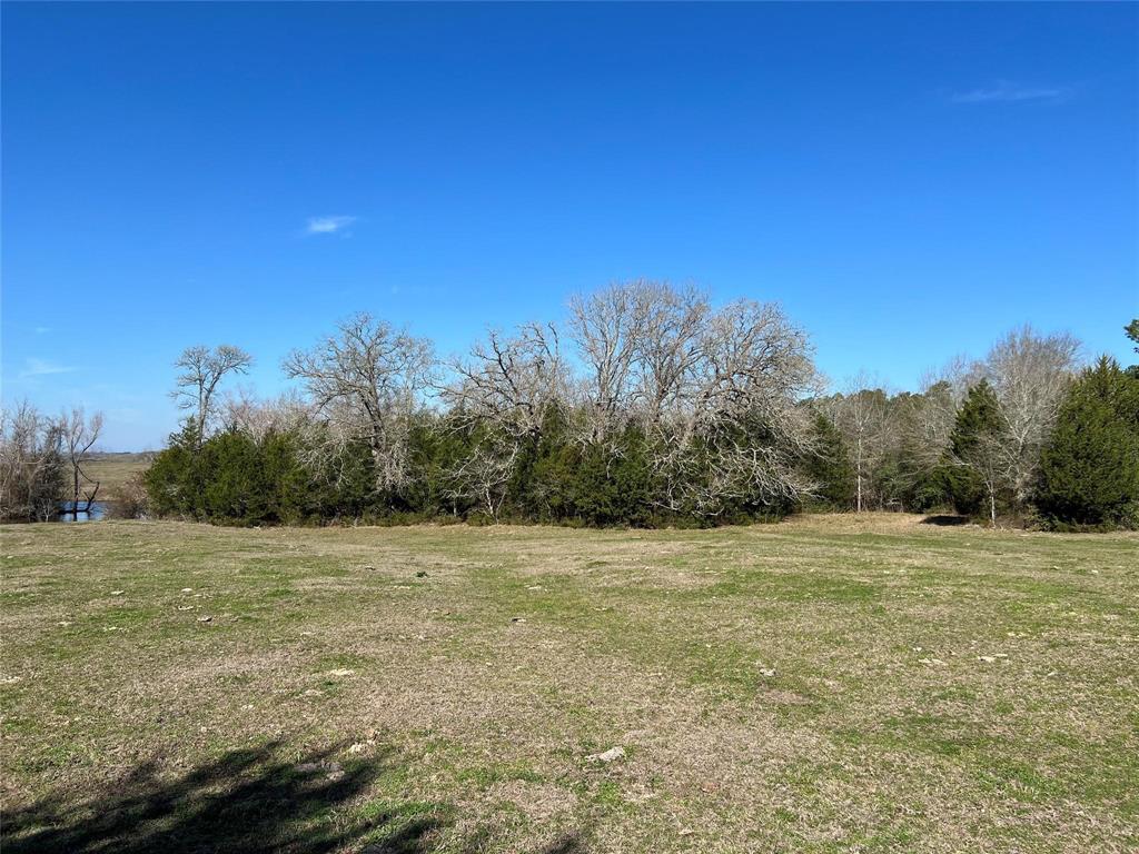 19285 Moriarty Road, Richards, Texas image 2