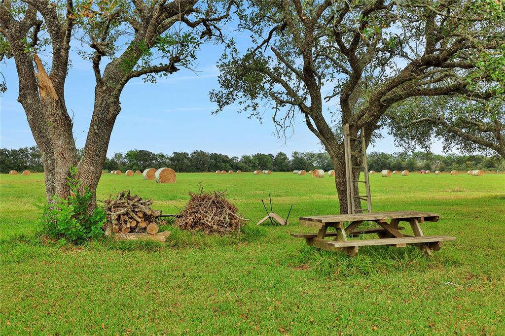 11709 Landrum Road, Santa Fe, Texas image 7