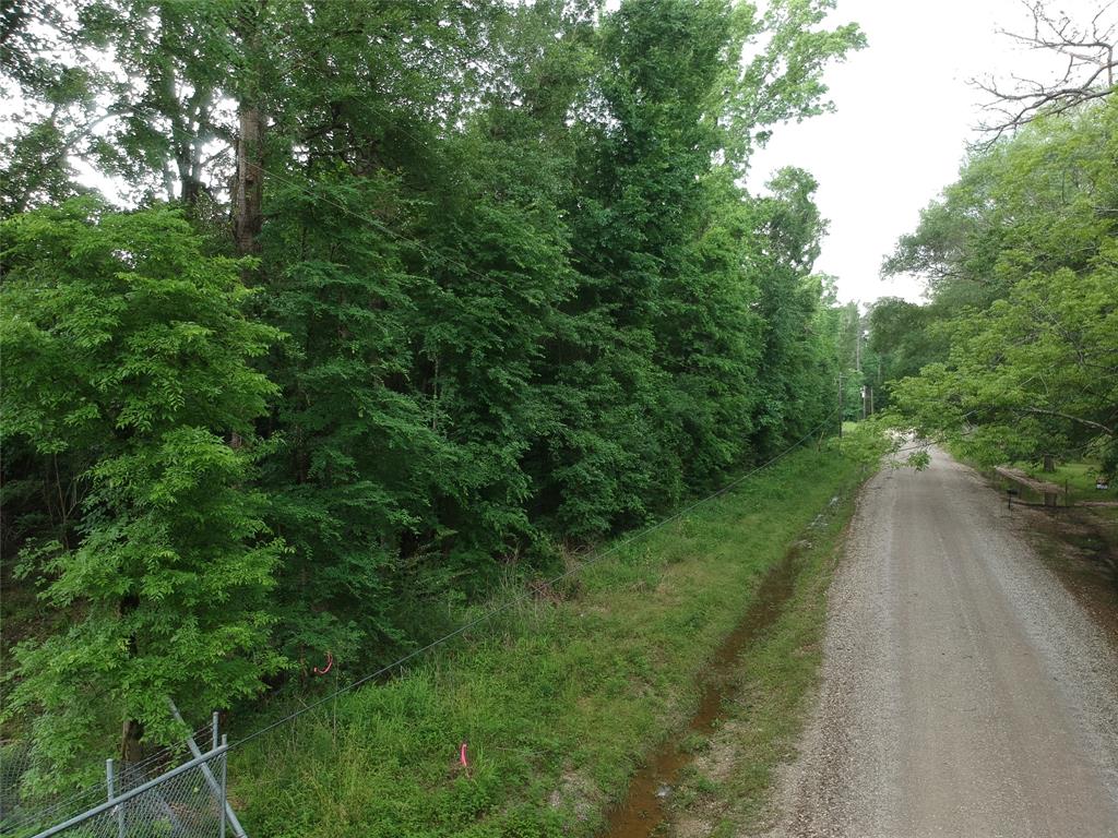 TBD Gourd Creek Road, Huntsville, Texas image 3