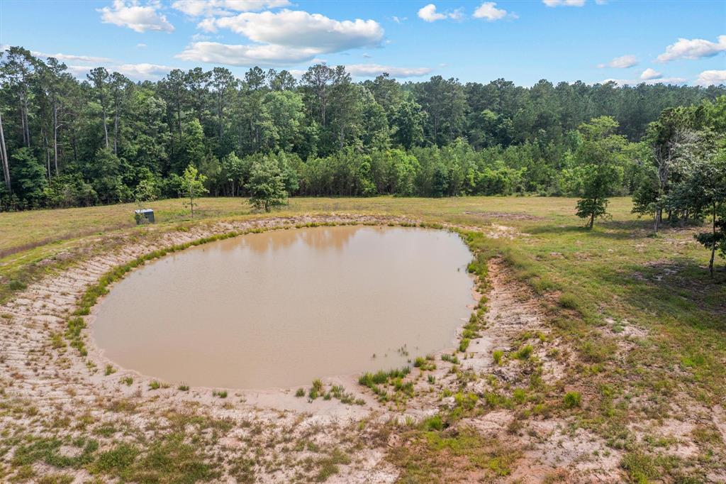 10068 Cr 3200, Colmesneil, Texas image 13