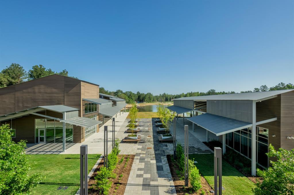 15806 Tamarin Tiger Court, Conroe, Texas image 14