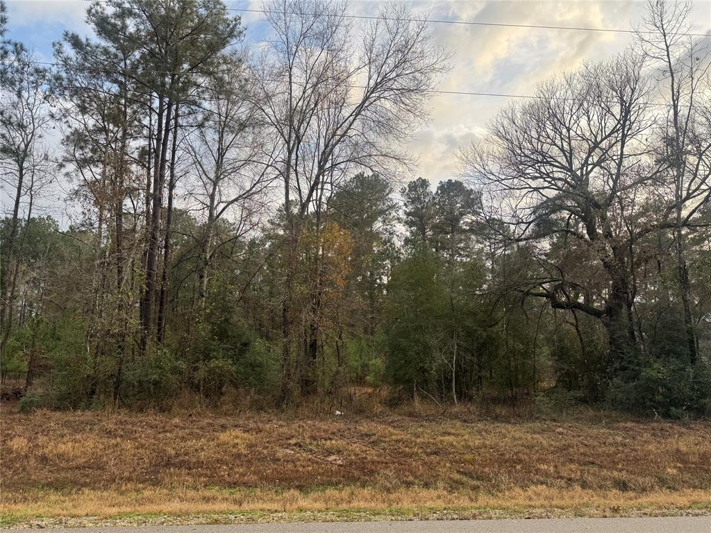 17/18-37-14 Prosperity Court, Huntsville, Texas image 4