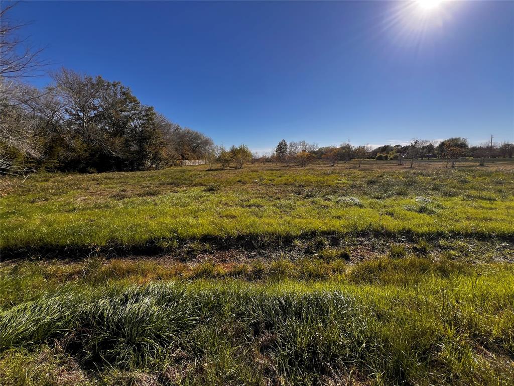 000 Pintail Street, Brookshire, Texas image 6