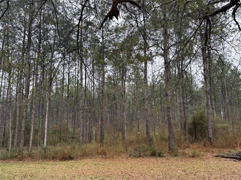 Photo of 467 County Road 3035, Newton, TX 75966 (MLS # 20524097)