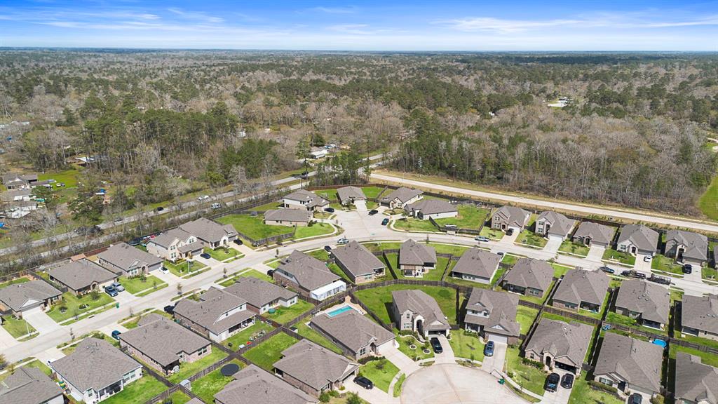 24027 Cherry Birch Lane, New Caney, Texas image 32