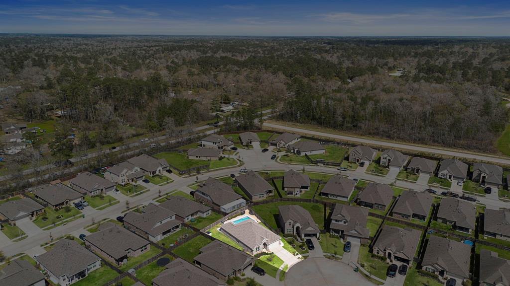 24027 Cherry Birch Lane, New Caney, Texas image 30