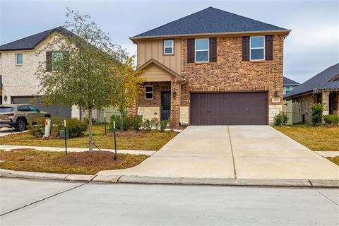 17533 ROSETTE GRASS DR Conroe TX 77385