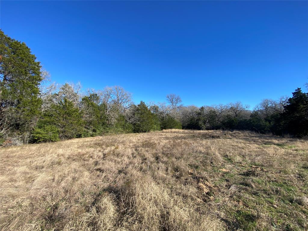 TBD Creekside Lane, Lexington, Texas image 11