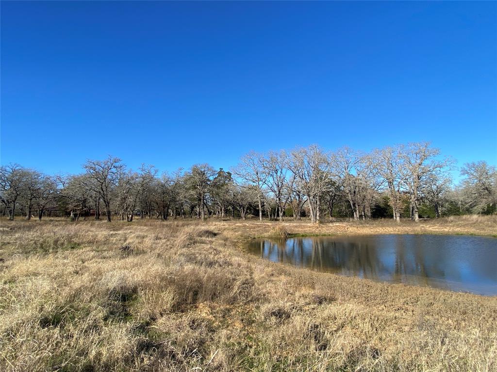 TBD Creekside Lane, Lexington, Texas image 4