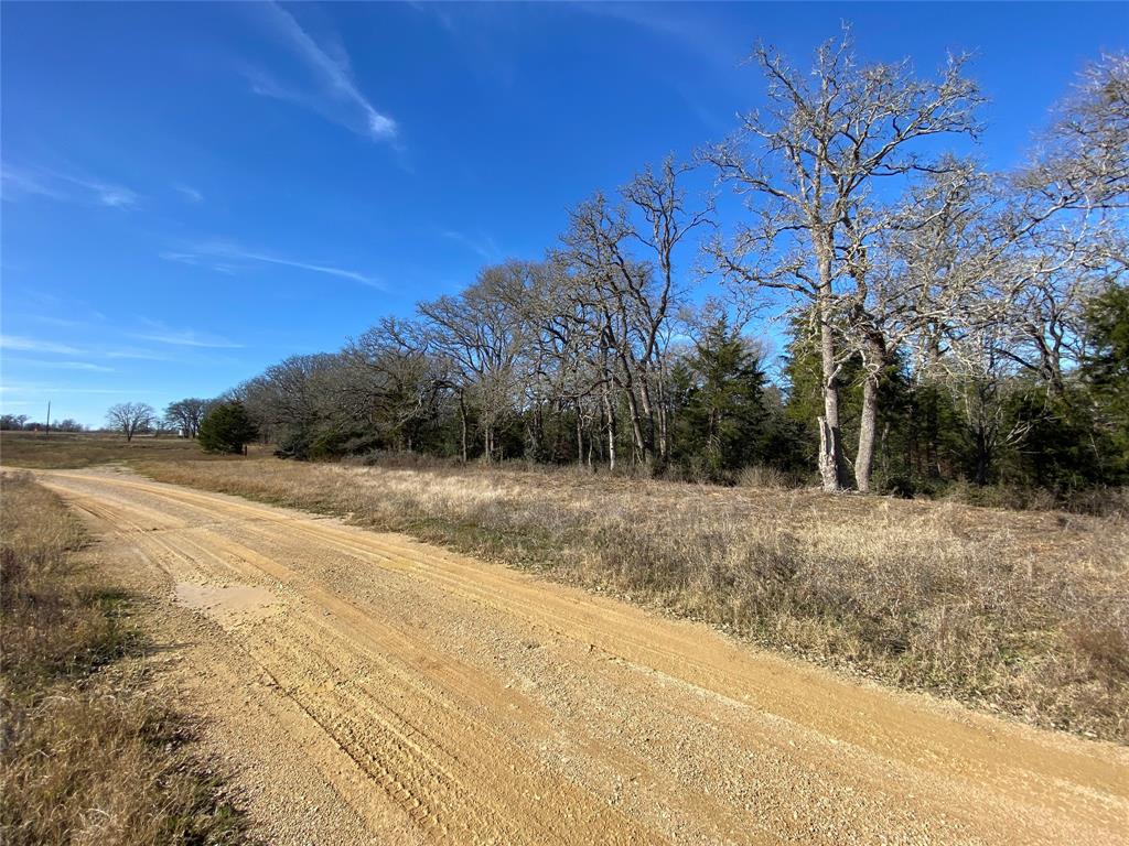 TBD Creekside Lane, Lexington, Texas image 14