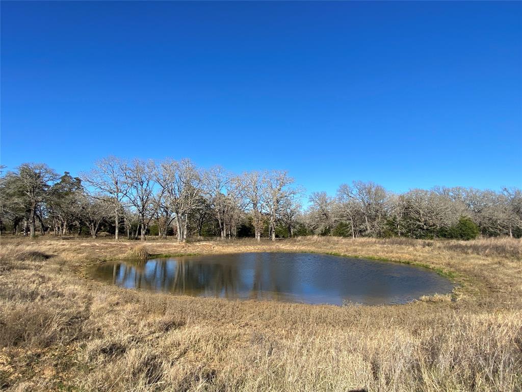 TBD Creekside Lane, Lexington, Texas image 5