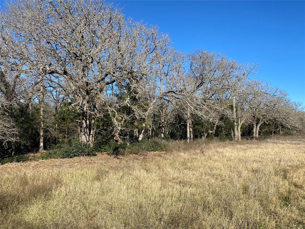 TBD Creekside Lane, Lexington, Texas image 13