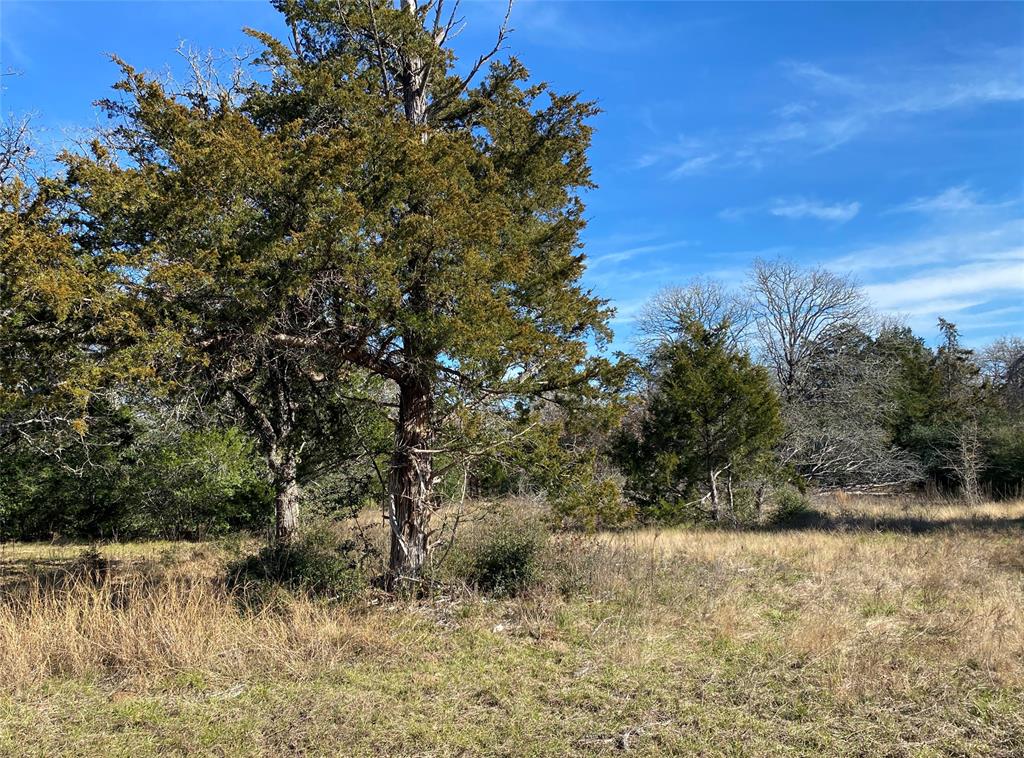 TBD Creekside Lane, Lexington, Texas image 3