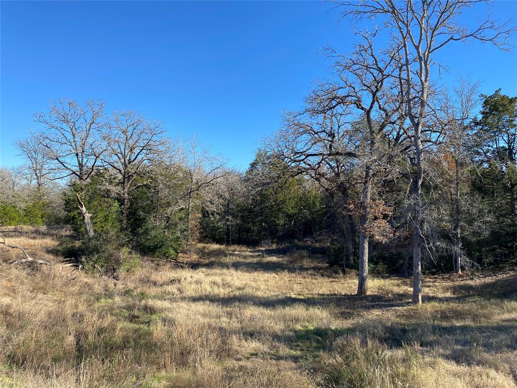 TBD Creekside Lane, Lexington, Texas image 12