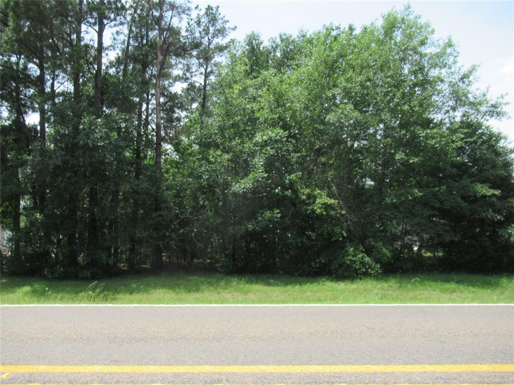 TBD 2 Fm 3277, Livingston, Texas image 1