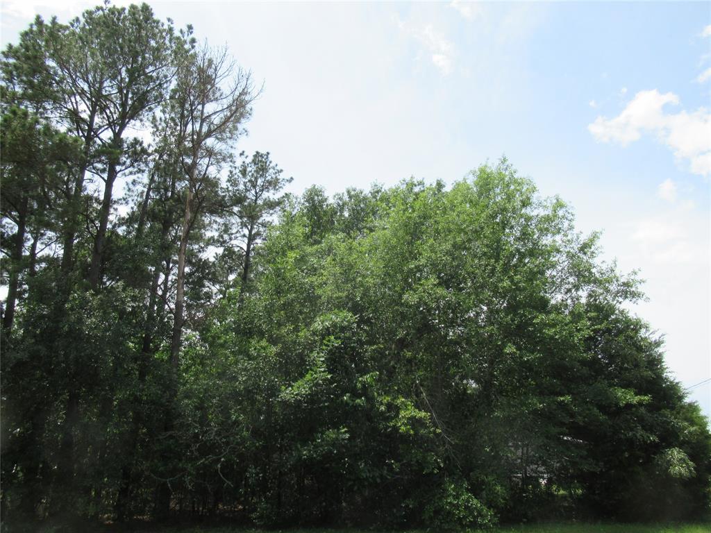 TBD 2 Fm 3277, Livingston, Texas image 3