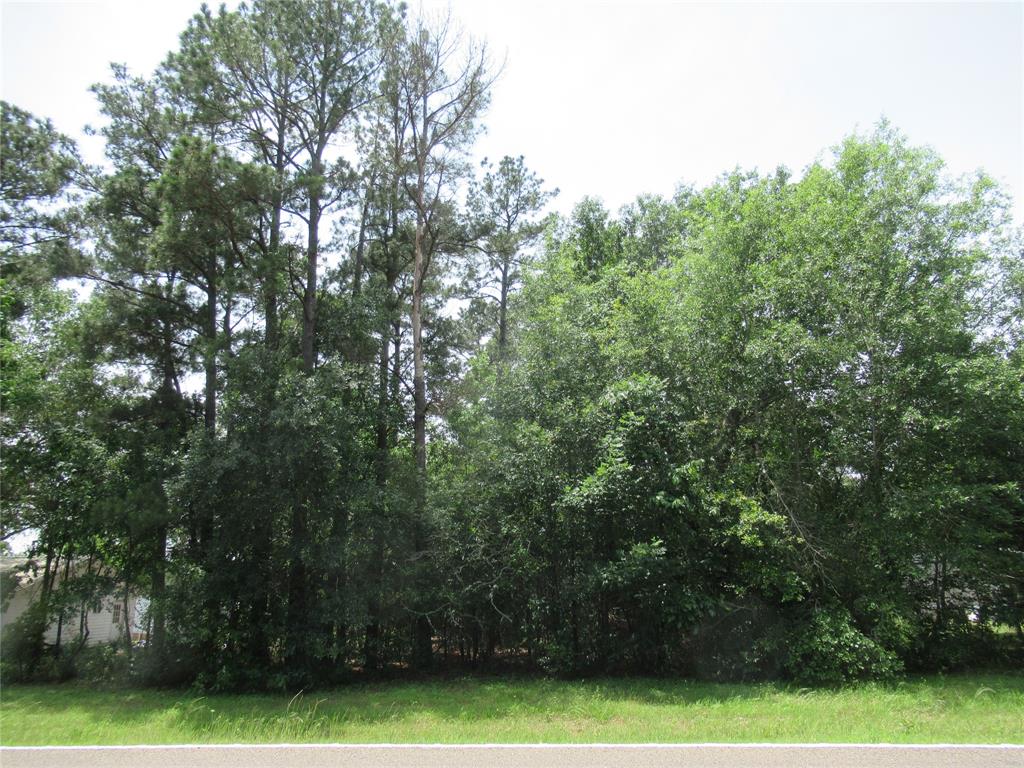TBD 2 Fm 3277, Livingston, Texas image 15