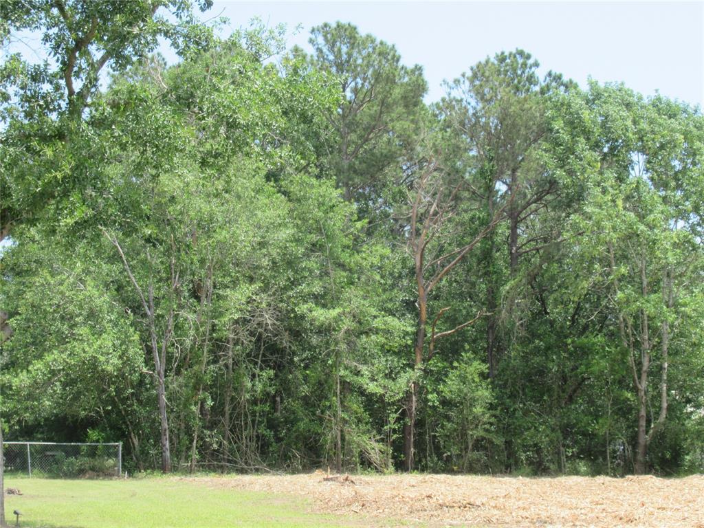 TBD 2 Fm 3277, Livingston, Texas image 4