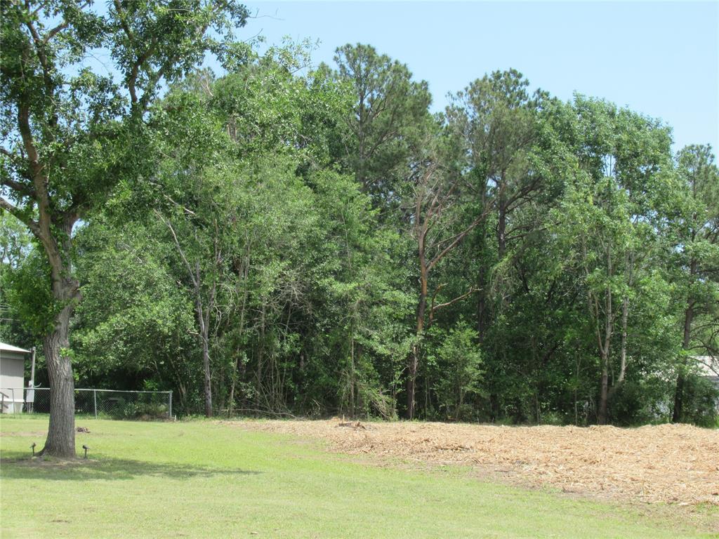 TBD 2 Fm 3277, Livingston, Texas image 2