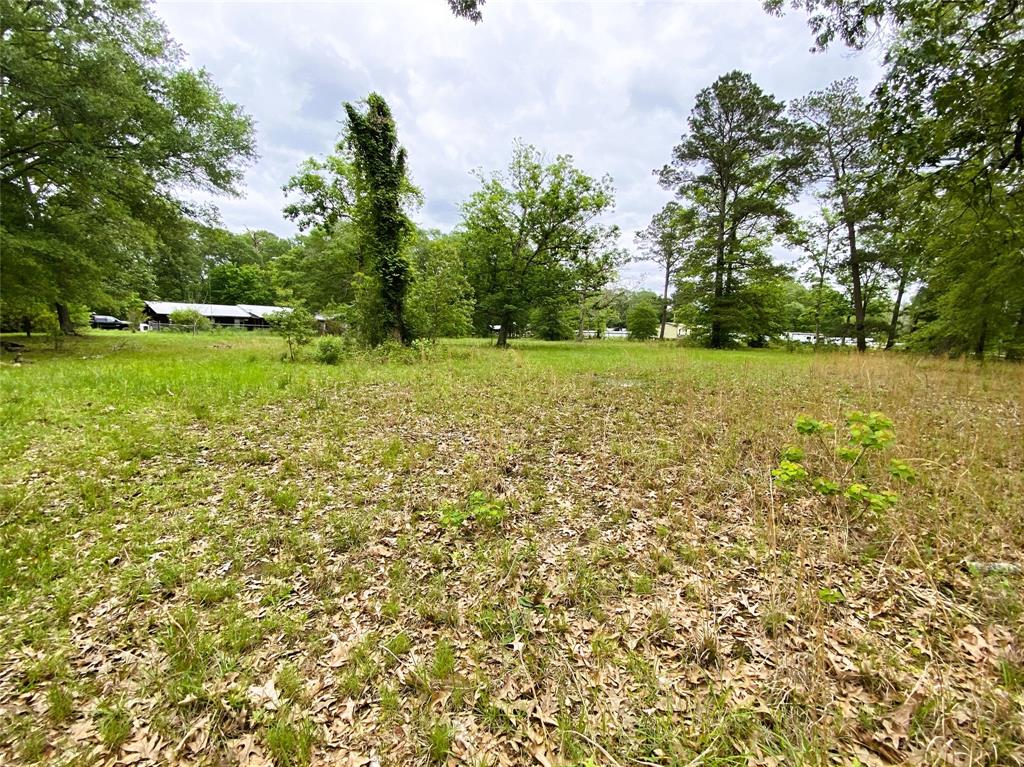 26933 Hill And Dale Avenue, Splendora, Texas image 3