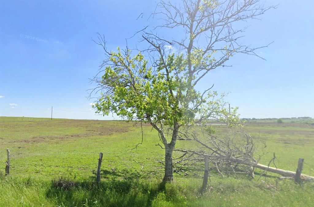 Lot 2 TBD Cr 291, Shiner, Texas image 4
