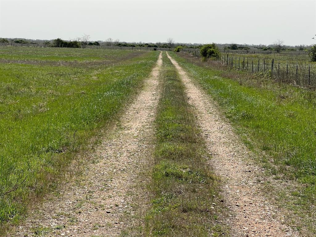 1337 Rice Road, Eagle Lake, Texas image 6