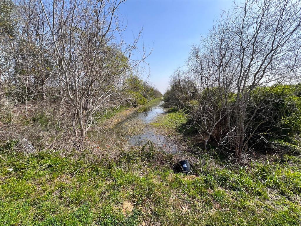 1337 Rice Road, Eagle Lake, Texas image 11
