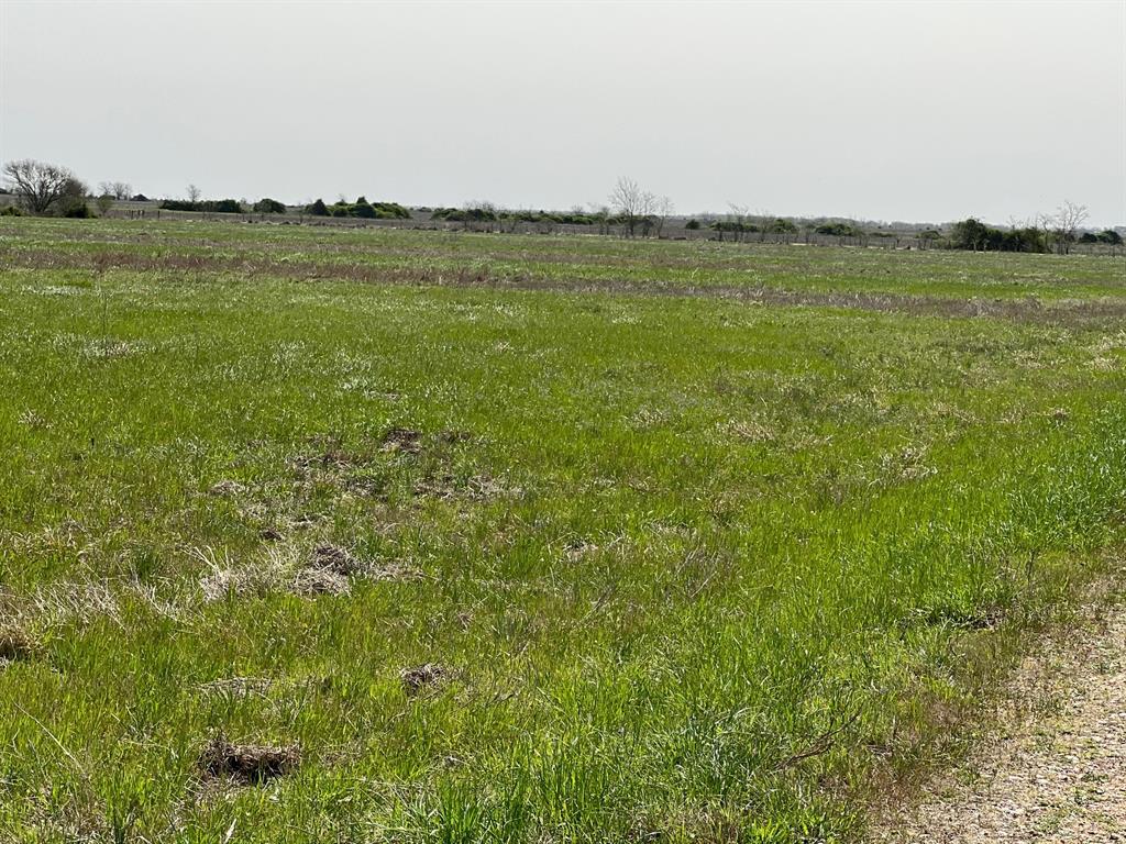 1337 Rice Road, Eagle Lake, Texas image 8