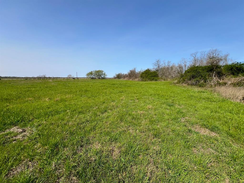 1337 Rice Road, Eagle Lake, Texas image 13