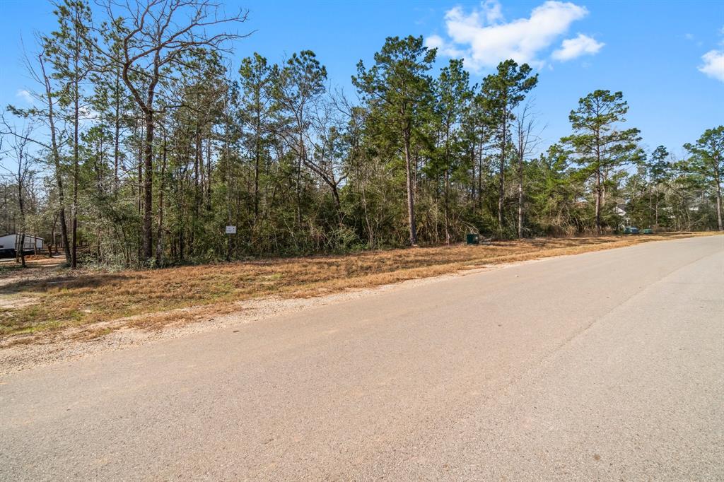 15491 Red Hawk Road, Willis, Texas image 10