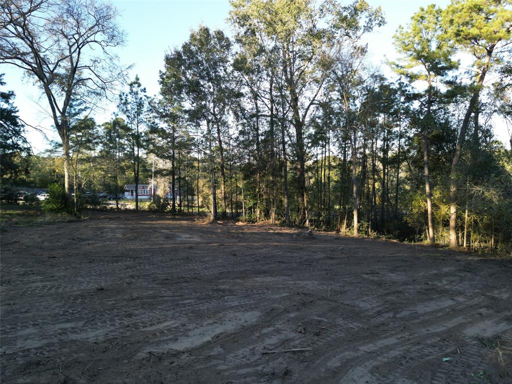 12604 Rollingwood Loop Loop, Conroe, Texas image 4
