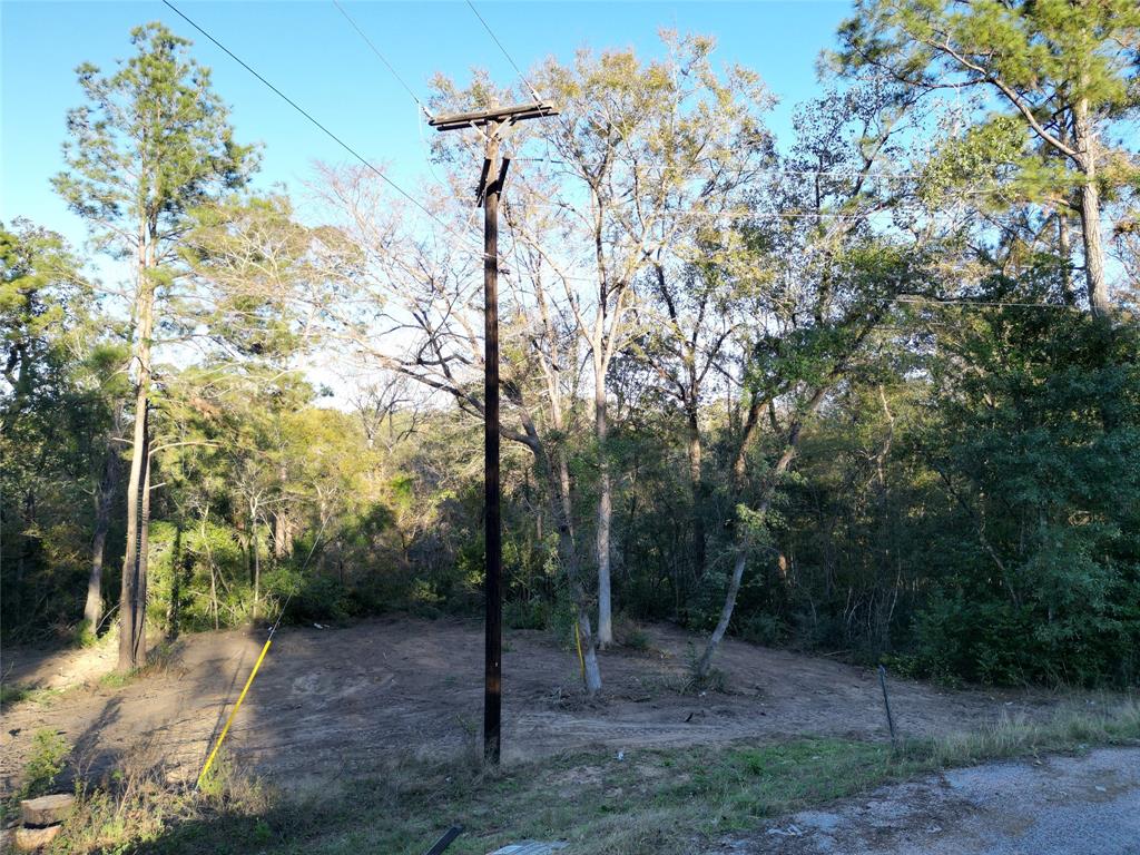12604 Rollingwood Loop Loop, Conroe, Texas image 9