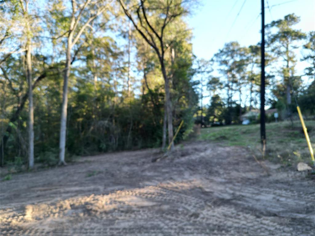 12604 Rollingwood Loop Loop, Conroe, Texas image 2