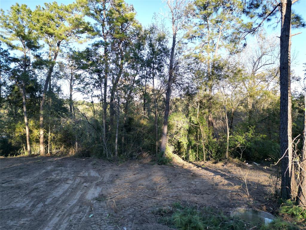 12604 Rollingwood Loop Loop, Conroe, Texas image 3