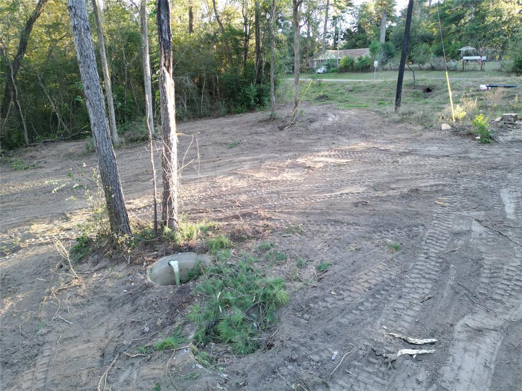 12604 Rollingwood Loop Loop, Conroe, Texas image 5