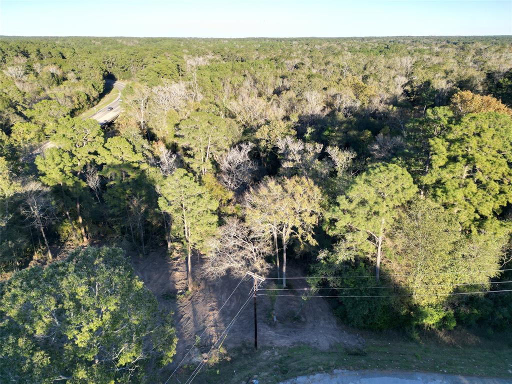 12604 Rollingwood Loop Loop, Conroe, Texas image 7