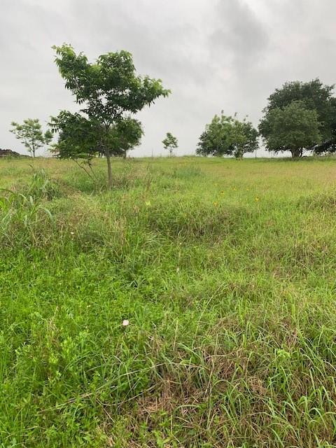224 Cripple Creek Lane, Angleton, Texas image 4