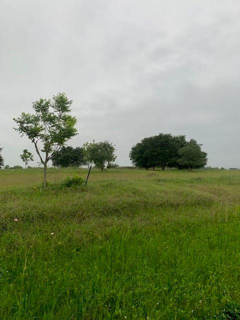 224 Cripple Creek Lane, Angleton, Texas image 2